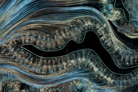 Consciousness