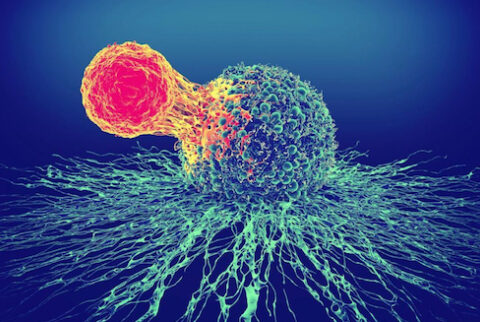 Eradicate Cancer