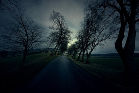 Hallucinations