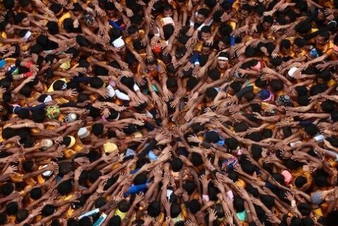 Humans