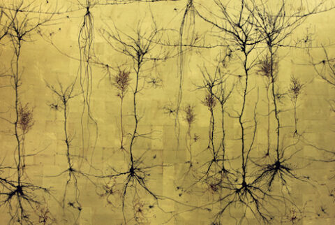Neuro Visual