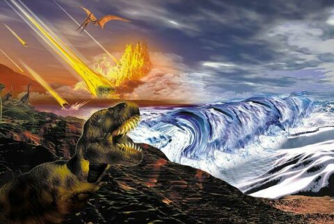 The End of the Dinosaurs