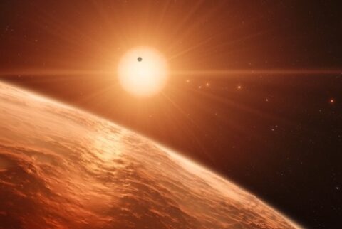 Trappist