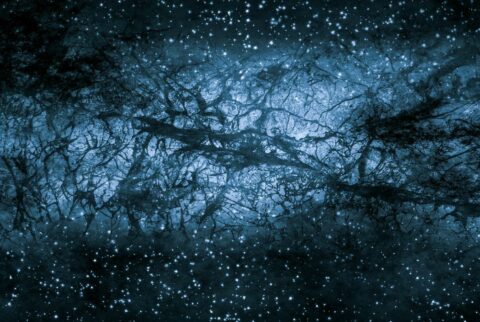 Darke Matter