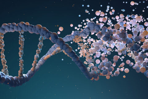 Dna genes