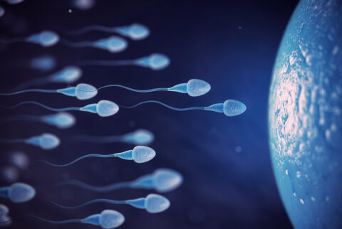 Infertility