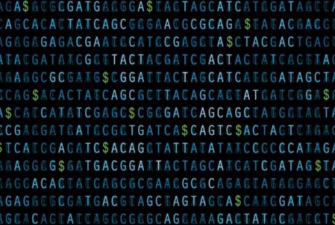 Moneygene
