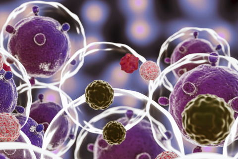 Stem cells robins choice