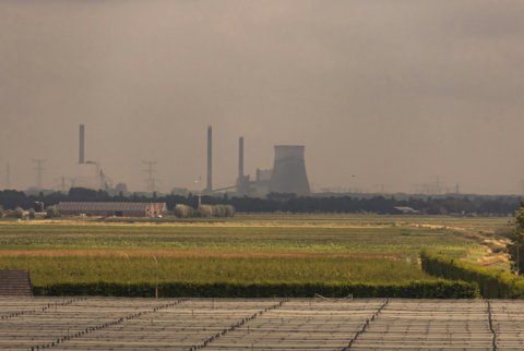 Website banner SC 22 juni