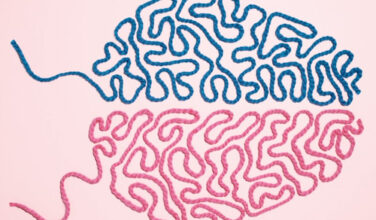 Gendered Brain