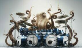 In search of what makes us musical